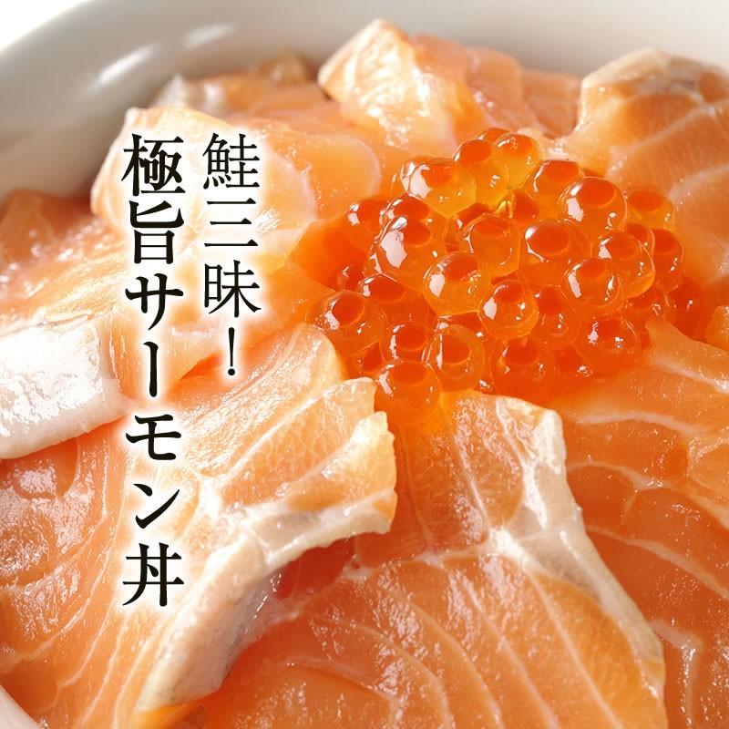 2025年物】マ印 醤油いくら 500g いくら イクラ 送料無料 標津産