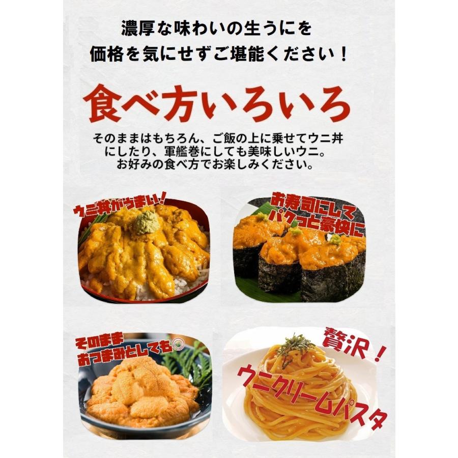 オンラインショッピング ウニ 訳あり うに 生食用 400g 無添加 お徳用 業務用 自宅用 父の日 ギフト ミョウバン不使用 わけあり 雲丹 刺身 パスタ 節分 ちらし寿司 送料無料 Materialworldblog Com