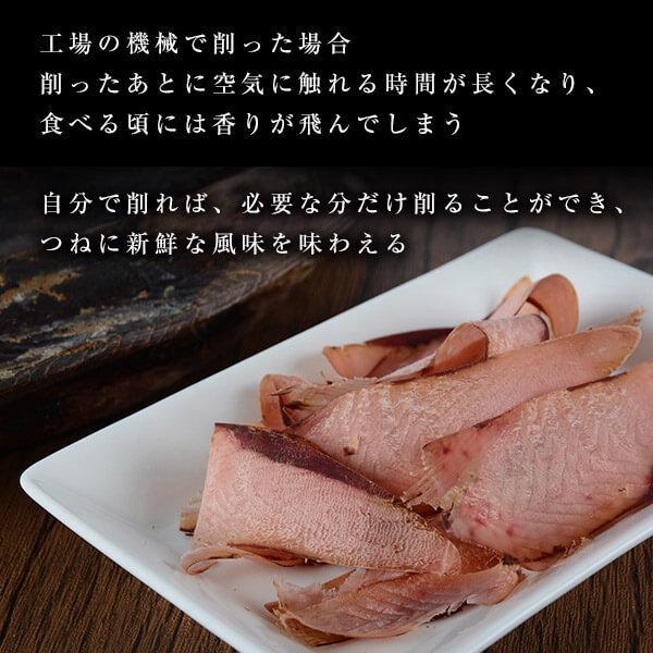 鰹節削り器セット お試し 赤節 1本 鰹節 鰹節削り器 貝印 かつお節削り