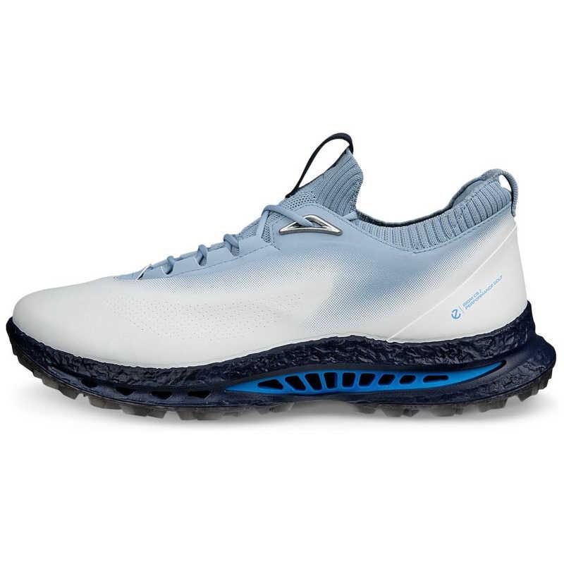 エコー　メンズゴルフシューズ BIOM C5(バイオムシーファイブ)WHITE/AIR ［メンズ / 27.5cm］ ホワイトライトグレーブラック　EG132604-60611-44の画像
