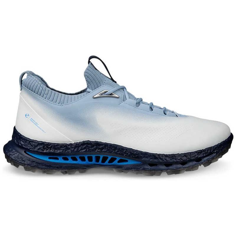 エコー　メンズゴルフシューズ BIOM C5(バイオムシーファイブ)WHITE/AIR ［メンズ / 27.5cm］ ホワイトライトグレーブラック　EG132604-60611-44の画像