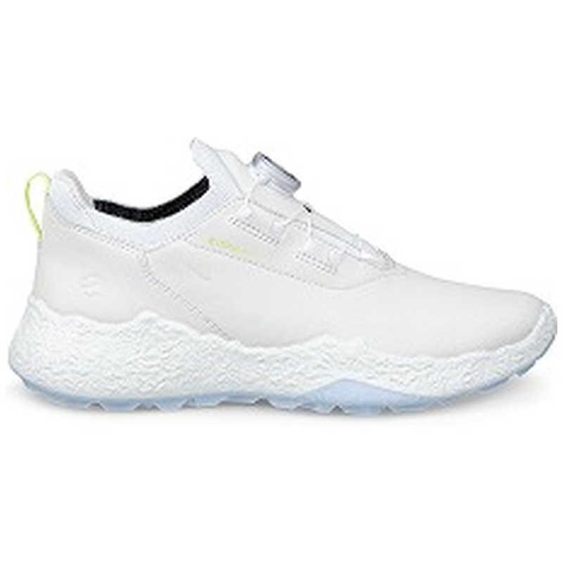 エコー　レディースゴルフシューズ BIOM H5(バイオムエイチファイブ) WH×AIR ［レディース / 24.0cm］ ホワイトライトブルー　EG115053-60611-38の画像