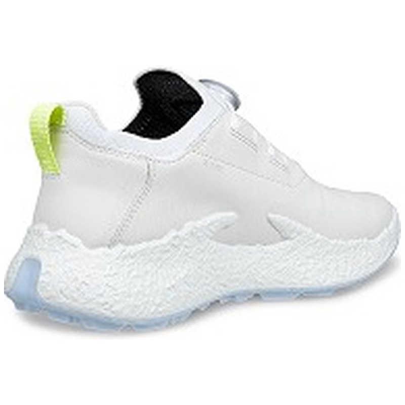 エコー　レディースゴルフシューズ BIOM H5(バイオムエイチファイブ) WH×AIR ［レディース / 24.0cm］ ホワイトライトブルー　EG115053-60611-38の画像