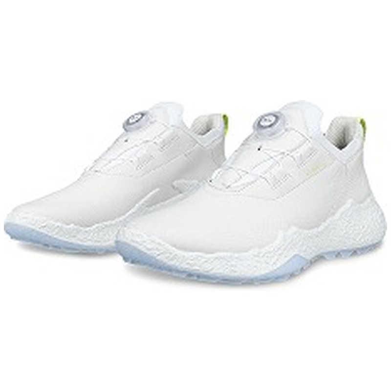 エコー　レディースゴルフシューズ BIOM H5(バイオムエイチファイブ) WH×AIR ［レディース / 24.0cm］ ホワイトライトブルー　EG115053-60611-38の画像