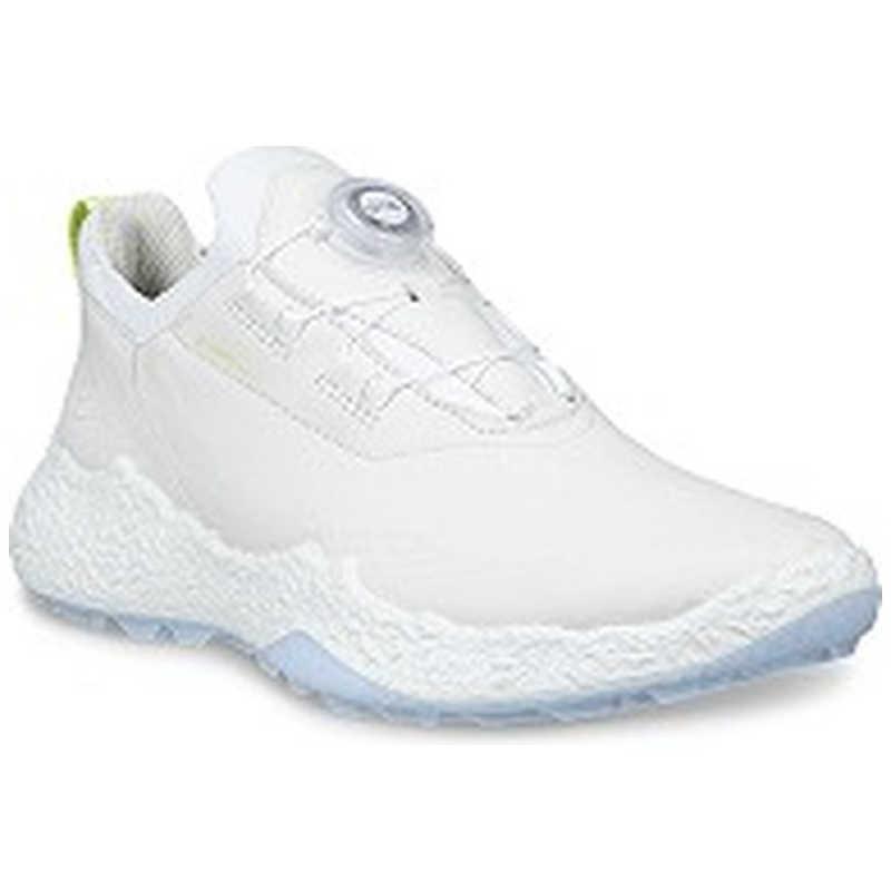 エコー　レディースゴルフシューズ BIOM H5(バイオムエイチファイブ) WH×AIR ［レディース / 24.0cm］ ホワイトライトブルー　EG115053-60611-38の画像