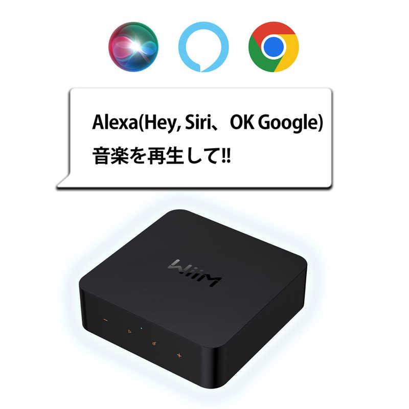 WiiM Pro ネットワークオーディオストリーマー 楽天市場】WiiM Pro Plus マルチロールオーディオストリーマー ASR003