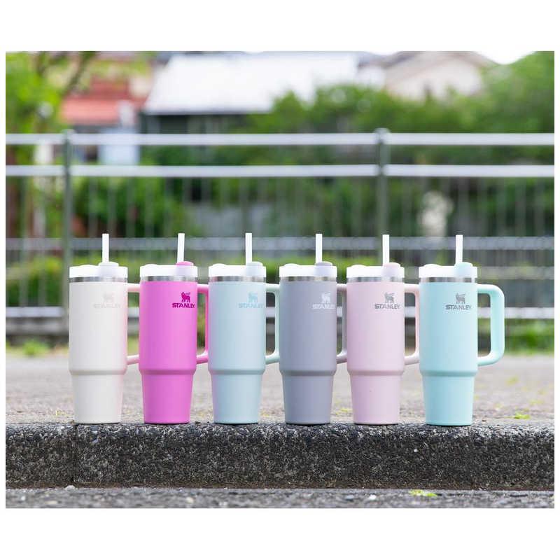 STANLEY スタンレー アウトドア用品 ボトル H2.0 真空スリム