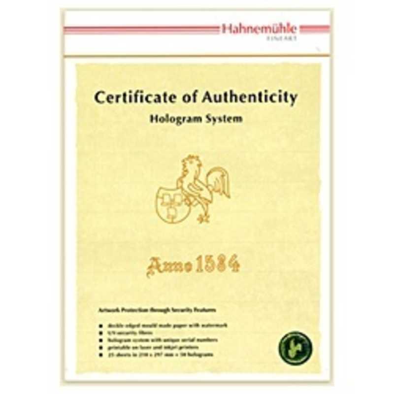ハーネミューレ　作品証明書ホログラムシステム Certificate of Authenticity　430454｜y-kojima