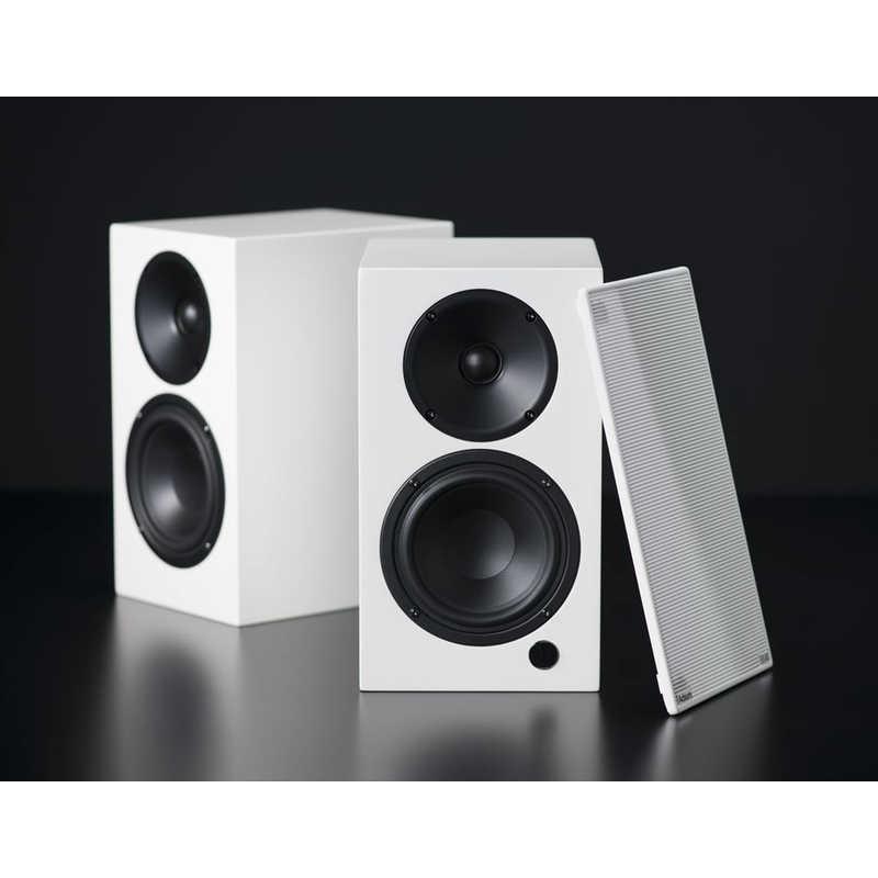 ELAC　DAC内蔵 アクティブ・スピーカー Adsumコラボレーションモデル  ［2本］　DEBUT-CONNEX-DCB41/DS_1