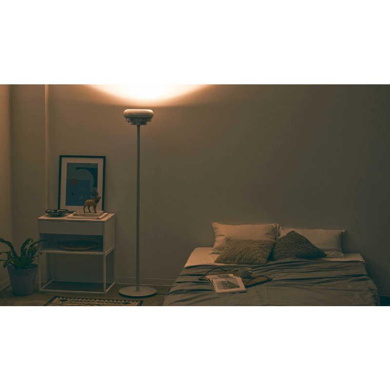 サンスター技研　Qais air-03(DD01)専用スタンドライト　DASL01 サンスター技研 Qais air-03(DD01)専用スタンドライト DASL01 : コジマ