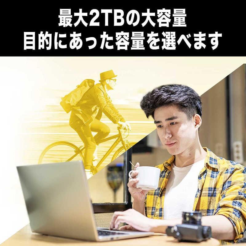 WESTERN DIGITAL 外付けSSD USB-A接続 WD Elements SE SSD 2TB