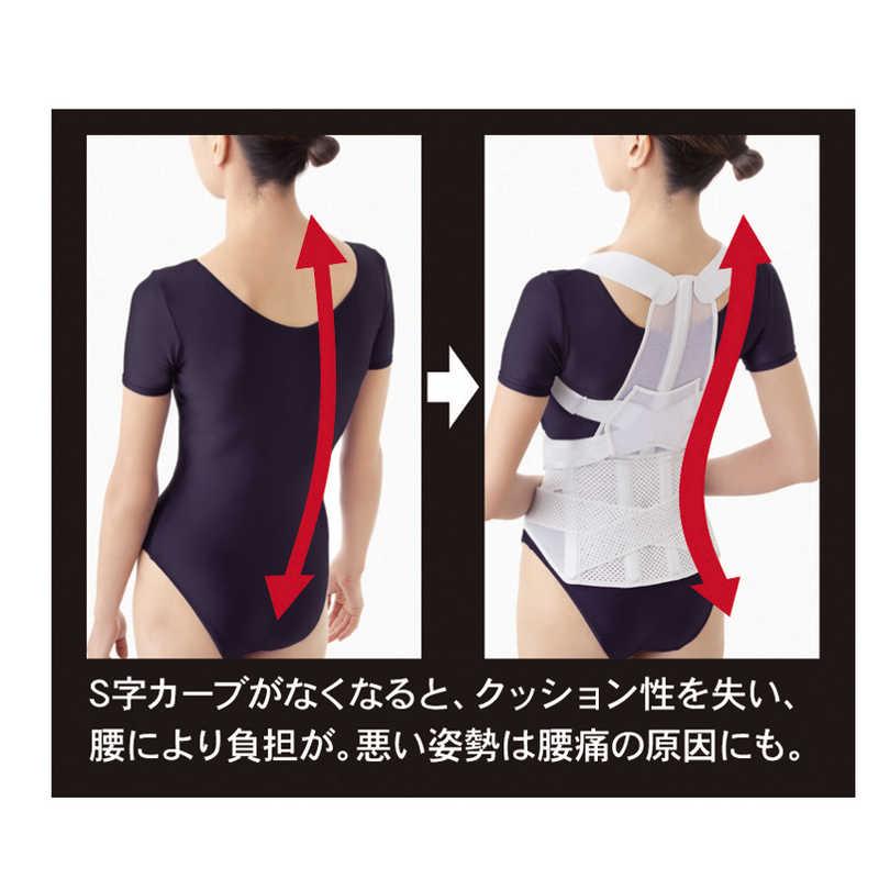 アルファックス　お医者さんの腰から正す姿勢ベルト L-LL 　_2