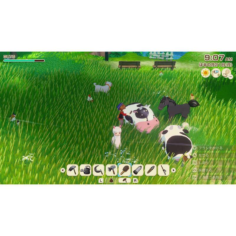 マーベラス Switchゲームソフト 牧場物語 Lets！風のグランド