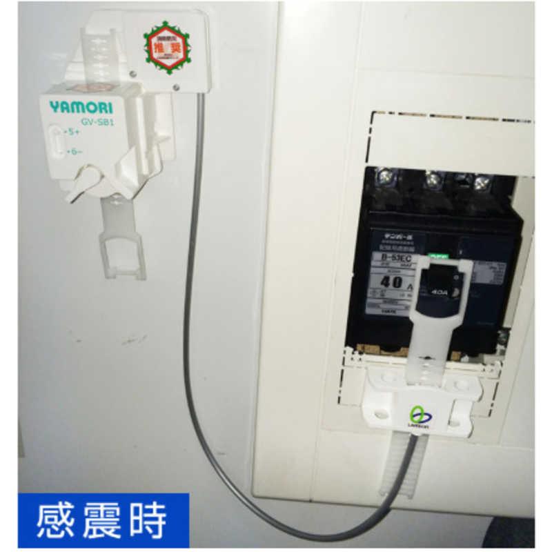 LINTEC 21（リンテック21） ヤモリ デ セット GVSET1 : コジマYahoo!店