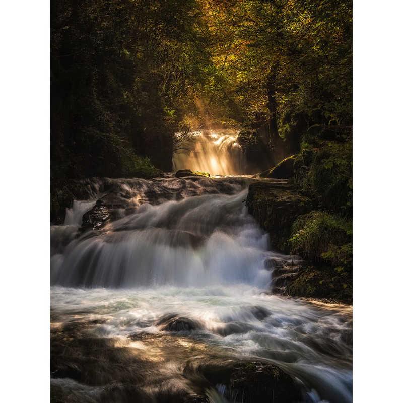 オリンパス　OLYMPUS　カメラレンズ ［マイクロフォーサーズ /ズームレンズ］　M.ZUIKO DIGITAL ED 12-45mm F4.0 PRO