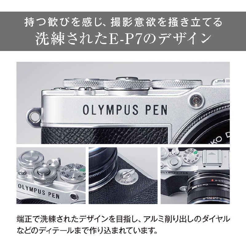 オリンパス OLYMPUS ミラーレス一眼カメラ(ボディ単体)シルバー PEN E