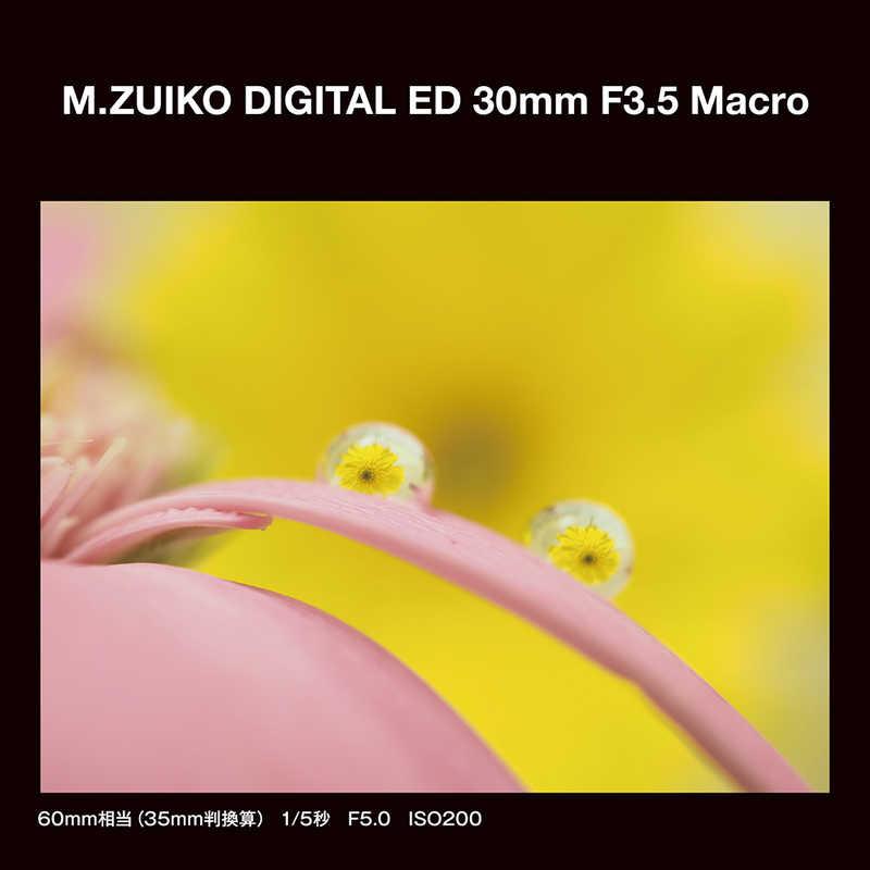 OMSYSTEM M.ZUIKO DIGITAL ED 30mm F3.5 Macro ［マイクロフォーサーズ
