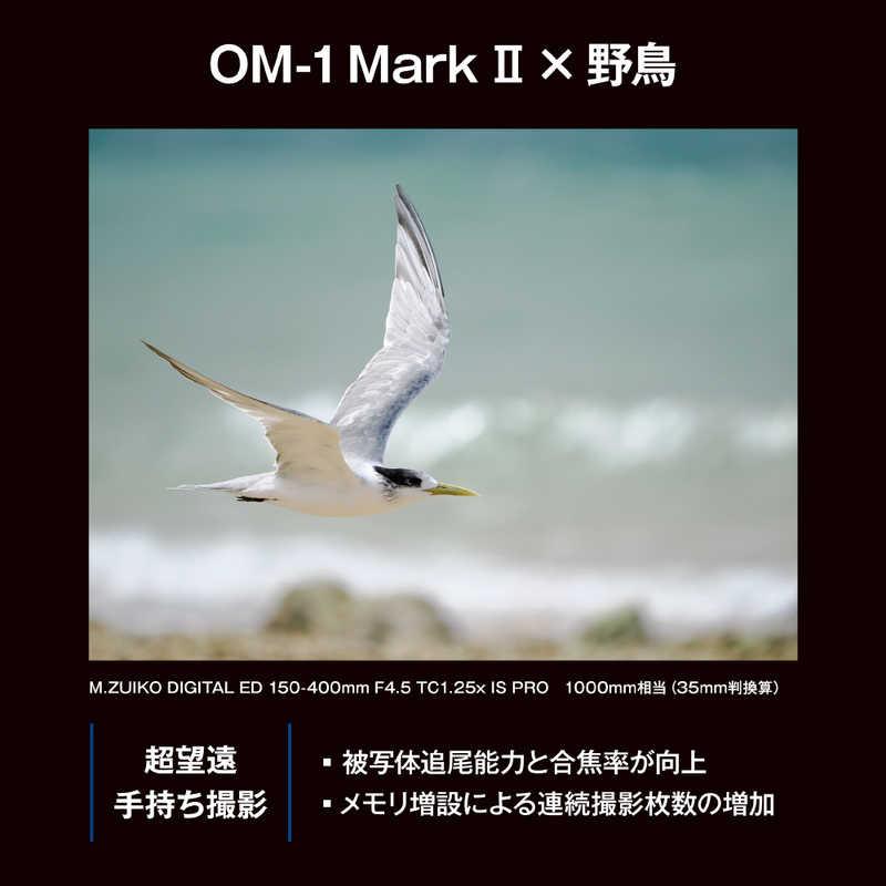 OMSYSTEM　ミラーレスカメラ　OM-1 Mark II 12-40mm F2.8 PRO II キット｜y-kojima｜20