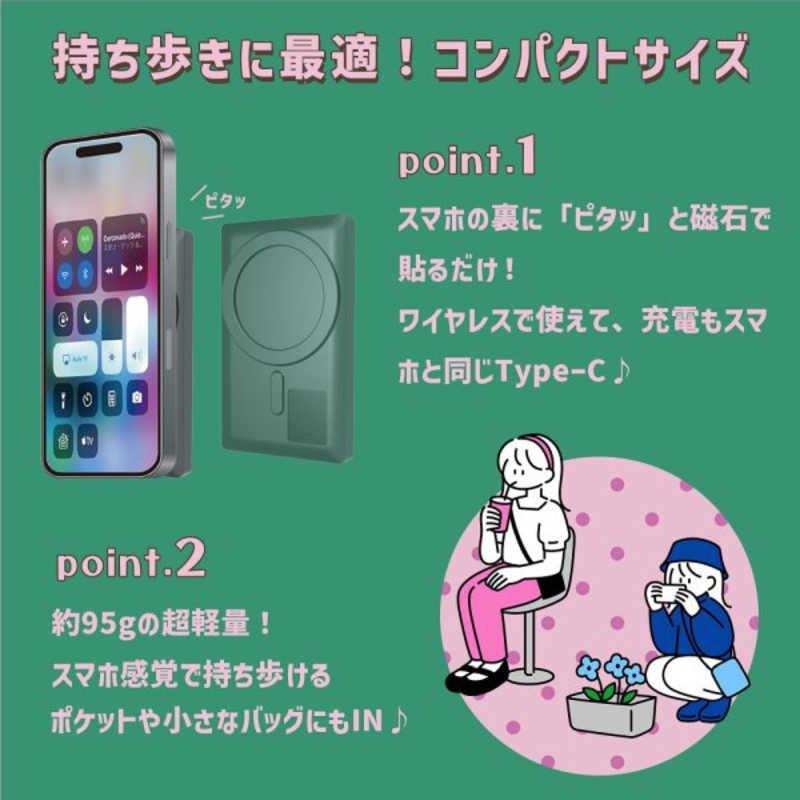 KEIYO スマートフォン用ミラーモニター Camee AN-S151 : コジマYahoo