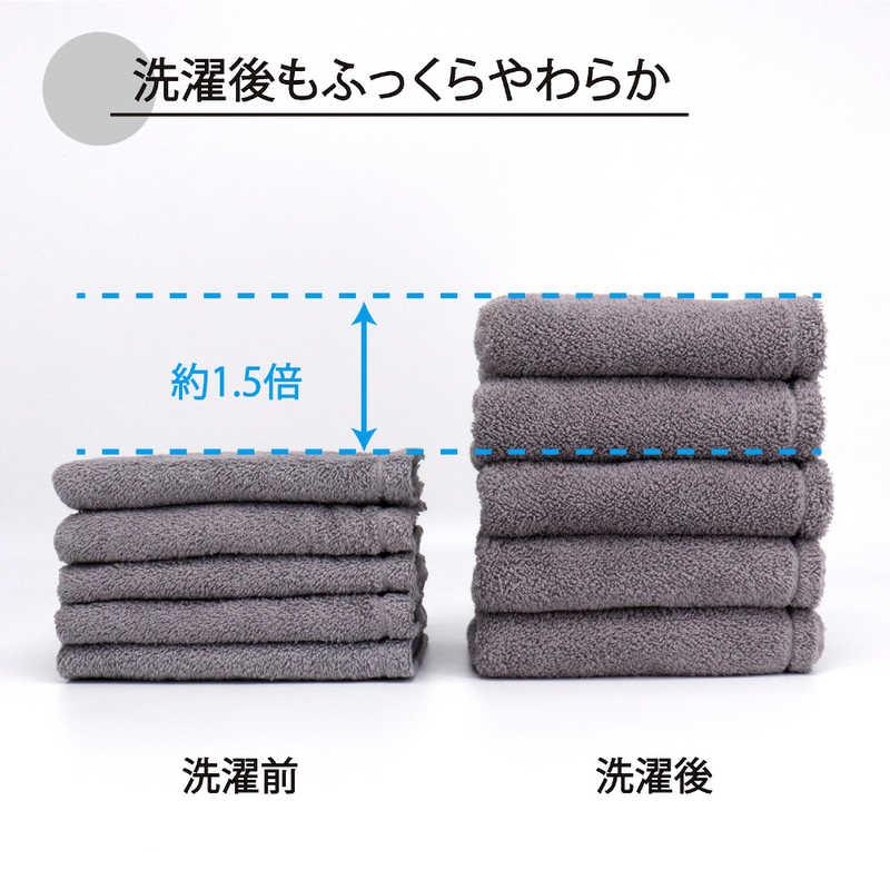 タオル美術館 厚手タイプ バスタオル 2枚セット ネイビー ハイドロ銀