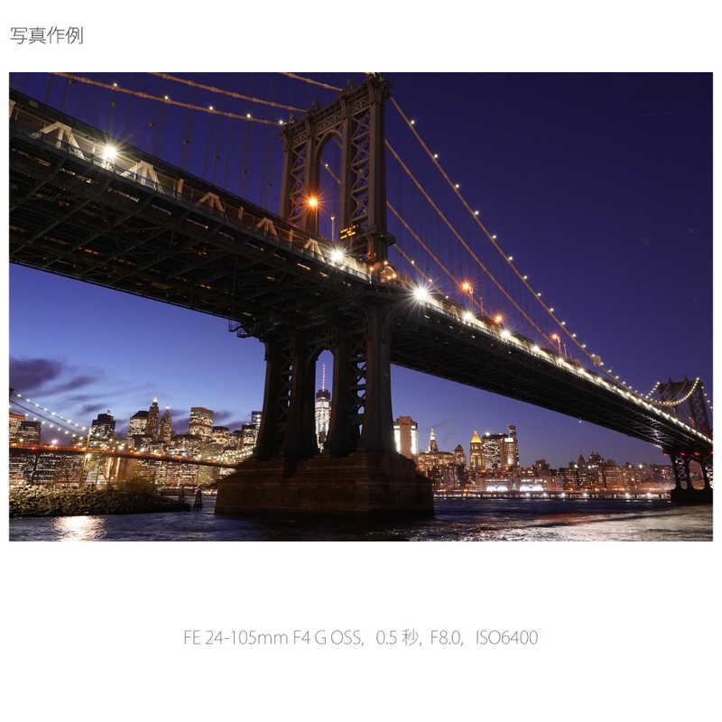 ソニー　SONY　ミラーレス一眼カメラ　α7III ボディ ILCE-7M3_17