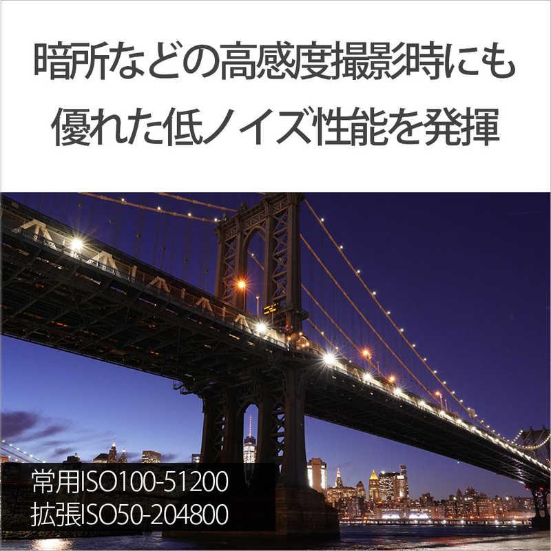 ソニー　SONY　ミラーレス一眼カメラ　α7III ボディ ILCE-7M3_5