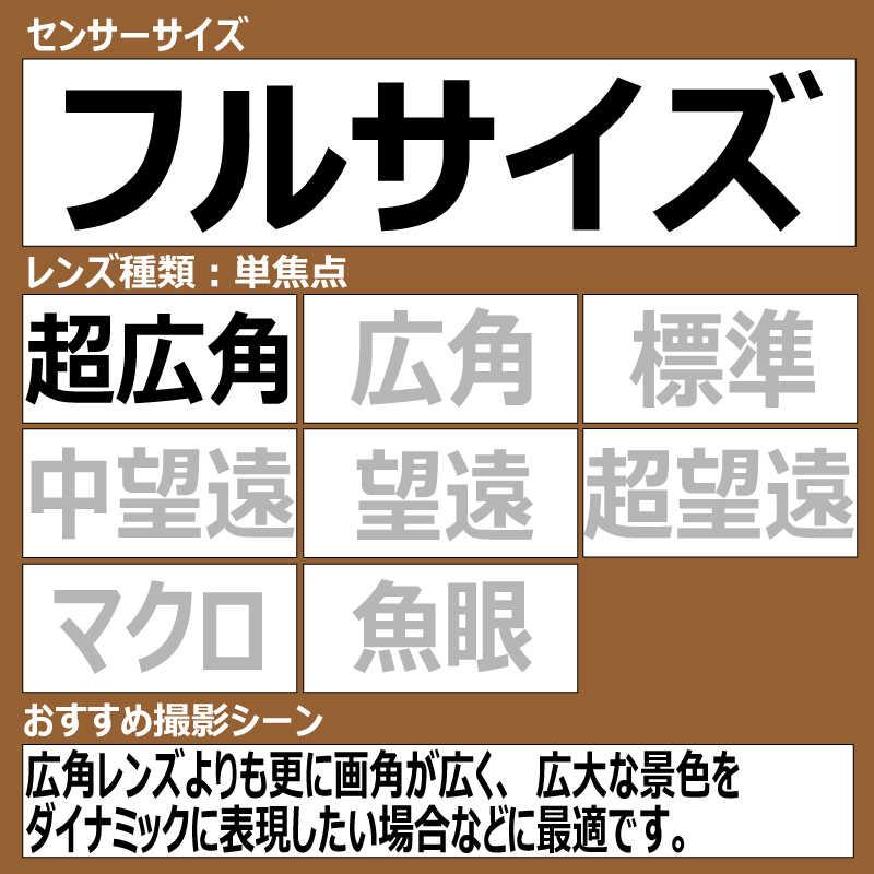 SONY（ソニー） カメラレンズ Master ［ソニーE /単焦点レンズ］ FE