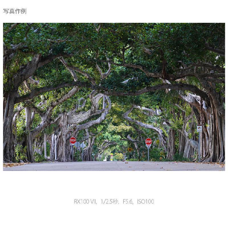 ソニー　SONY　コンパクトデジタルカメラ (Cyber-shot)　Cyber-shot DSC-RX100M7_13