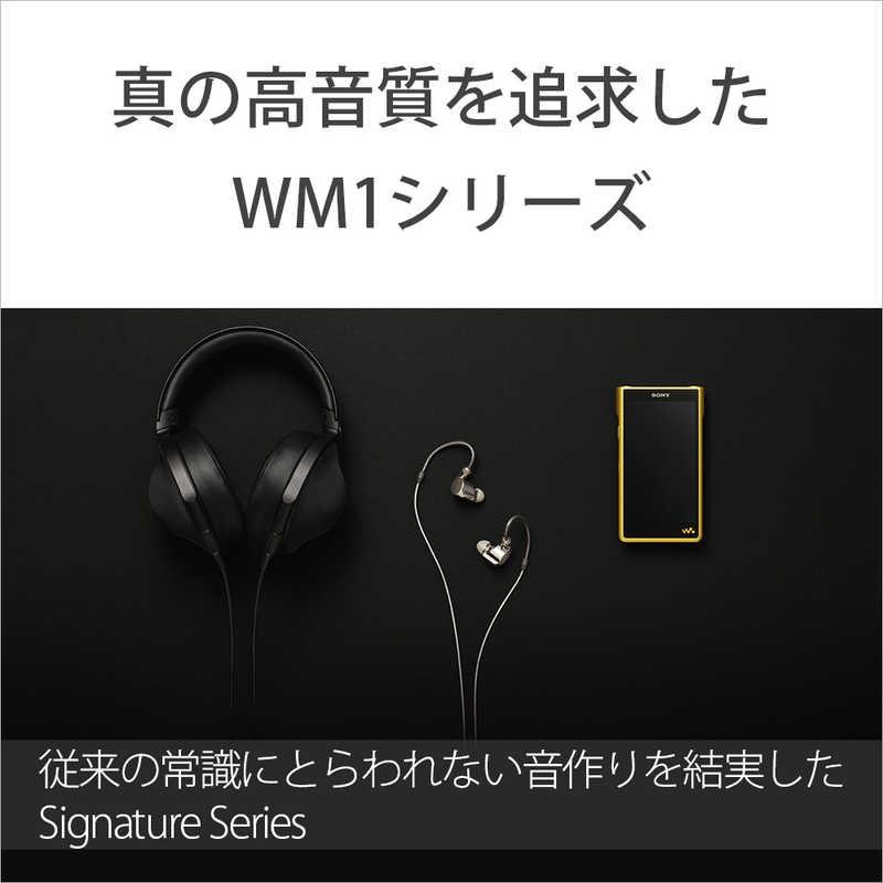 SONY（ソニー） ウォークマンWM1シリーズ ゴールド [ハイレゾ対応
