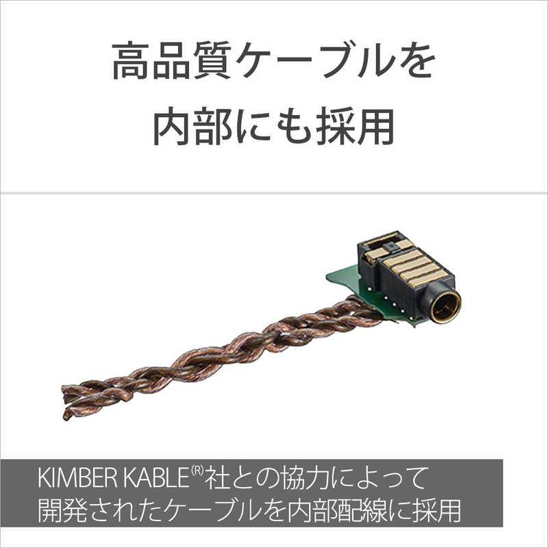 SONY NW-WM1ZM2 ウォークマン 256GB キンバーケーブル SONY（ソニー） ウォークマンWM1シリーズ ゴールド [ハイレゾ対応
