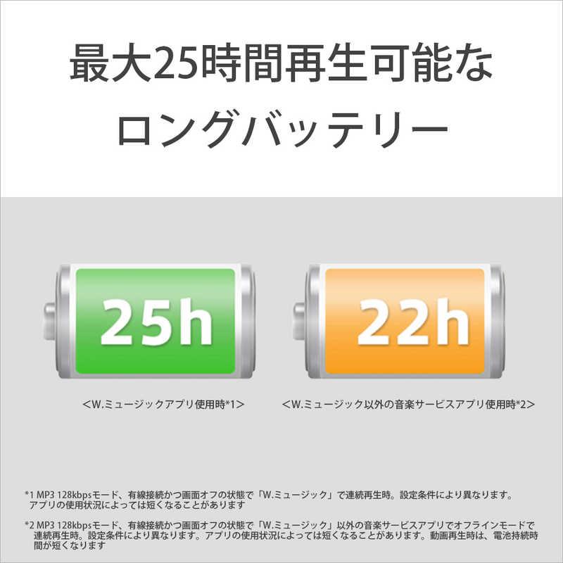 SONY ソニー SONY ウォークマン WALKMAN ZXシリーズ ブラック SONY ソニー SONY ウォークマン WALKMAN ZXシリーズ ブラック