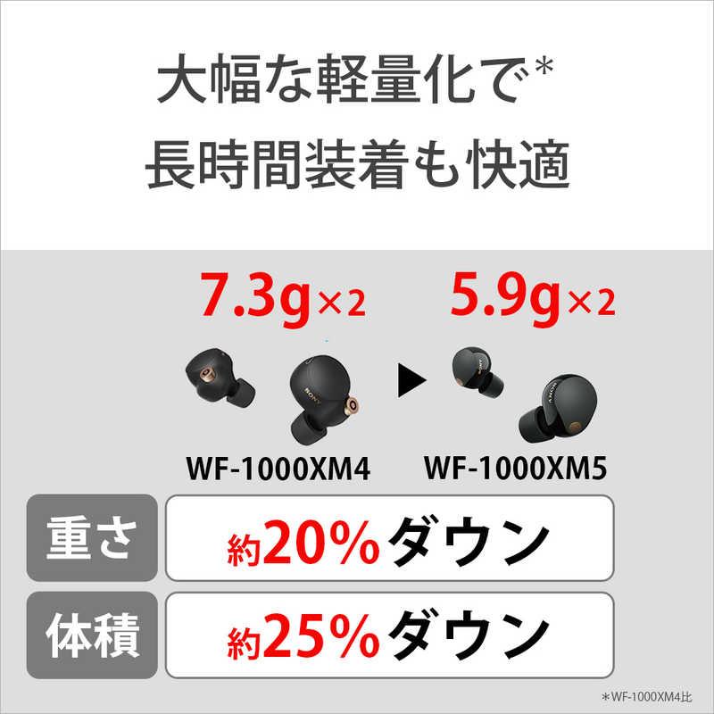 SONY（ソニー） 完全ワイヤレスイヤホン プラチナシルバー ノイズ