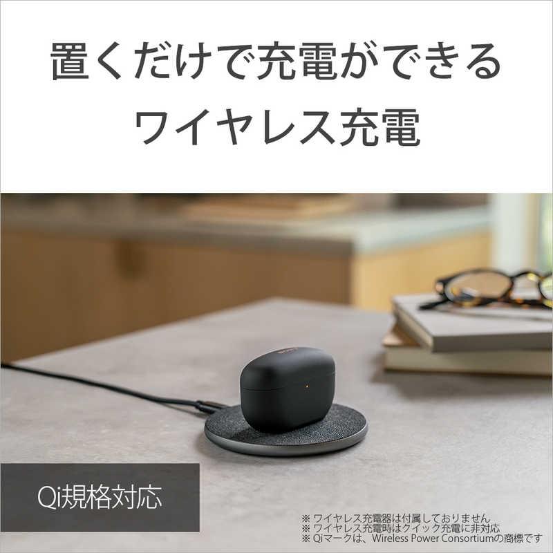 SONY（ソニー） 完全ワイヤレスイヤホン プラチナシルバー ノイズ