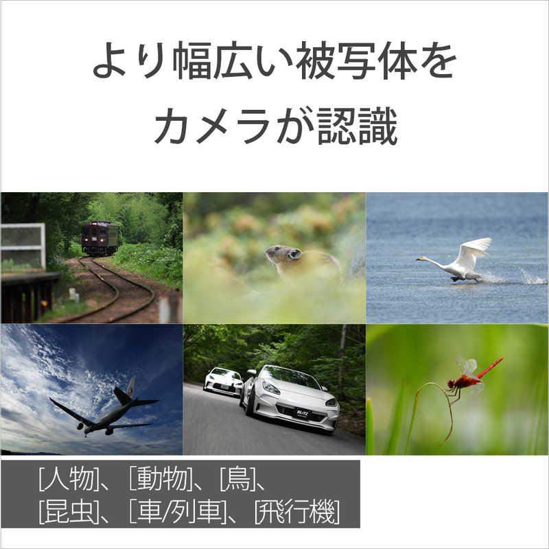 SONY ソニー SONY α7R V ミラーレス一眼カメラ (ボディ単体 SONY ソニー SONY α7R V ミラーレス一眼カメラ (ボディ単体