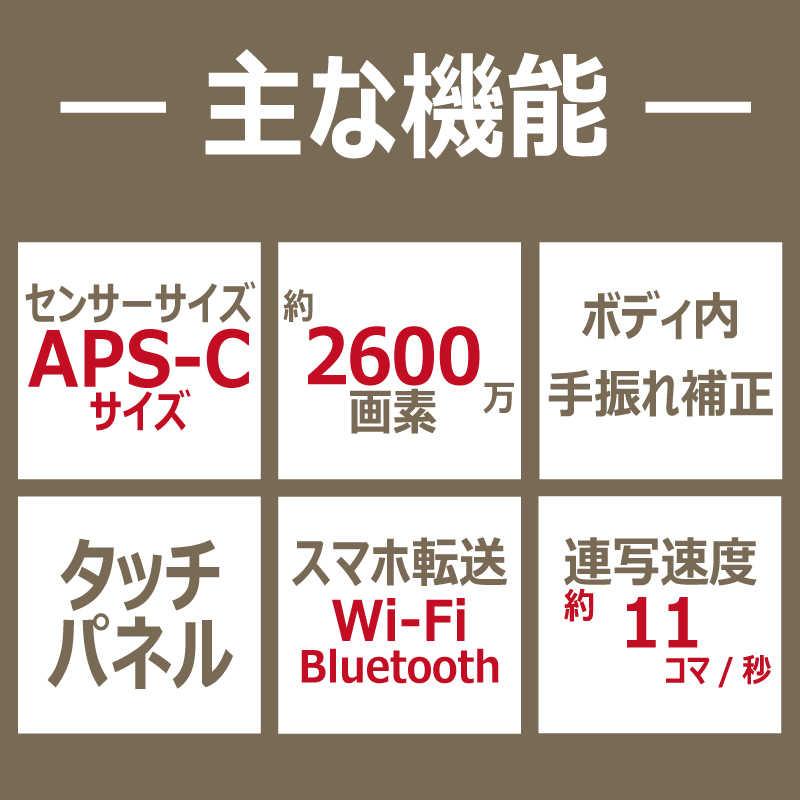 SONY（ソニー） ミラーレス一眼カメラ α6700 ボディ ILCE-6700