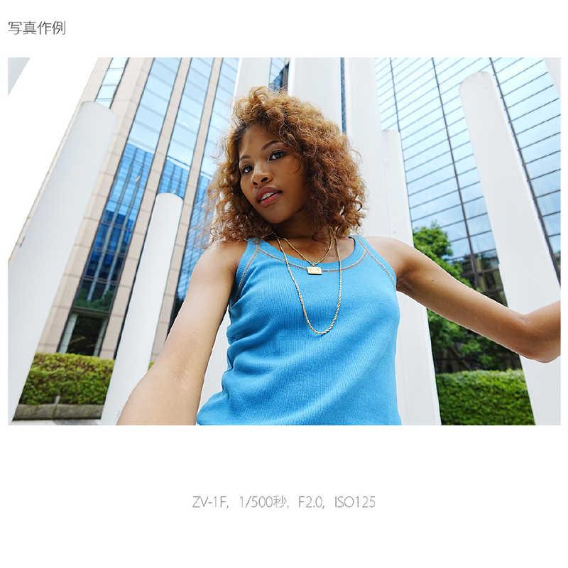 SONY ソニー SONY 超広角単焦点レンズ一体型カメラ VLOGCAM SONY ソニー SONY 超広角単焦点レンズ一体型カメラ VLOGCAM