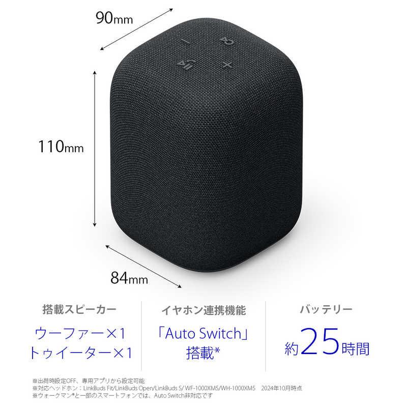 SONY LinkBuds Speaker ブラック 実機レビュー＞こんなにちっちゃいくせに、生意気な音出す！「LinkBuds