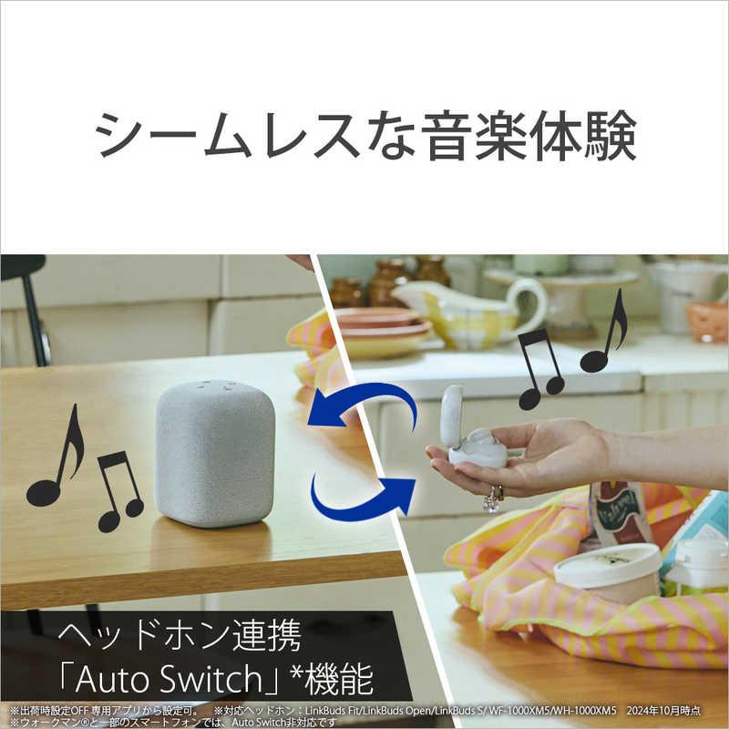 ソニー SONY ブルートゥーススピーカー SRS-LS1 HC LinkBuds Speaker