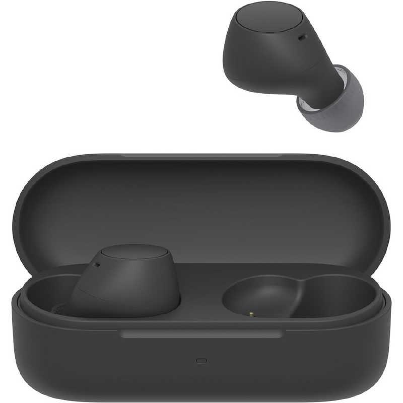 ソニー SONY フルワイヤレスイヤホン [ ワイヤレス ( 左右分離