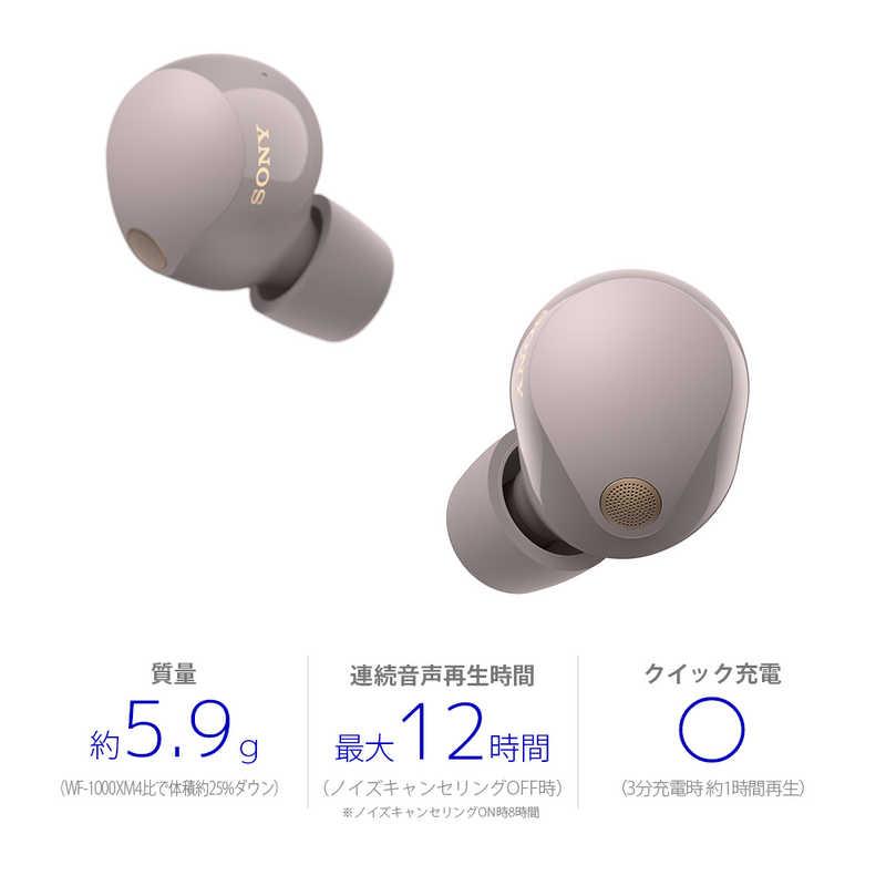 ソニー SONY 完全ワイヤレスイヤホン スモーキーピンク ワイヤレス 