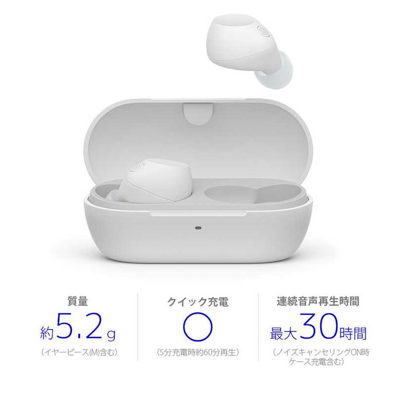 ソニー SONY 完全ワイヤレスイヤホン [ ワイヤレス ( 左右分離