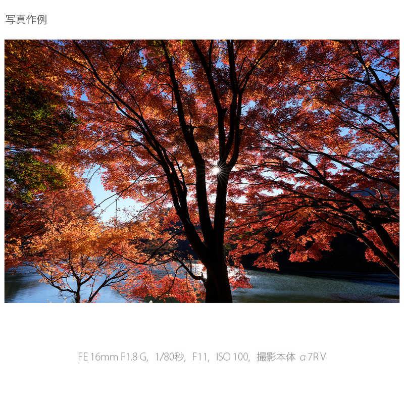 ソニー SONY カメラレンズ FE 16mm F1.8 G （ ソニーE / 単焦点レンズ