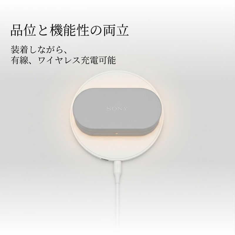 ソニー SONY WF-1000XM6用ケースカバー ブラック HAC-1000XM6CBC