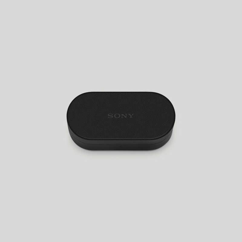 ソニー SONY WF-1000XM6用ケースカバー ブラック HAC1000XM6CBC