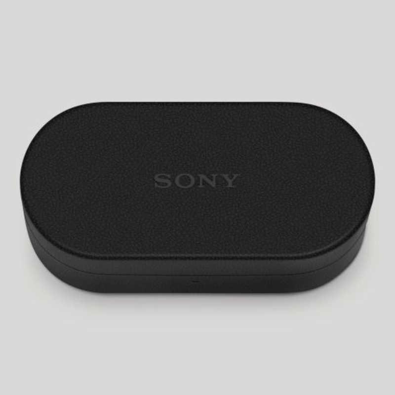 ソニー SONY WF-1000XM6用ケースカバー ブラック HAC1000XM6CBC