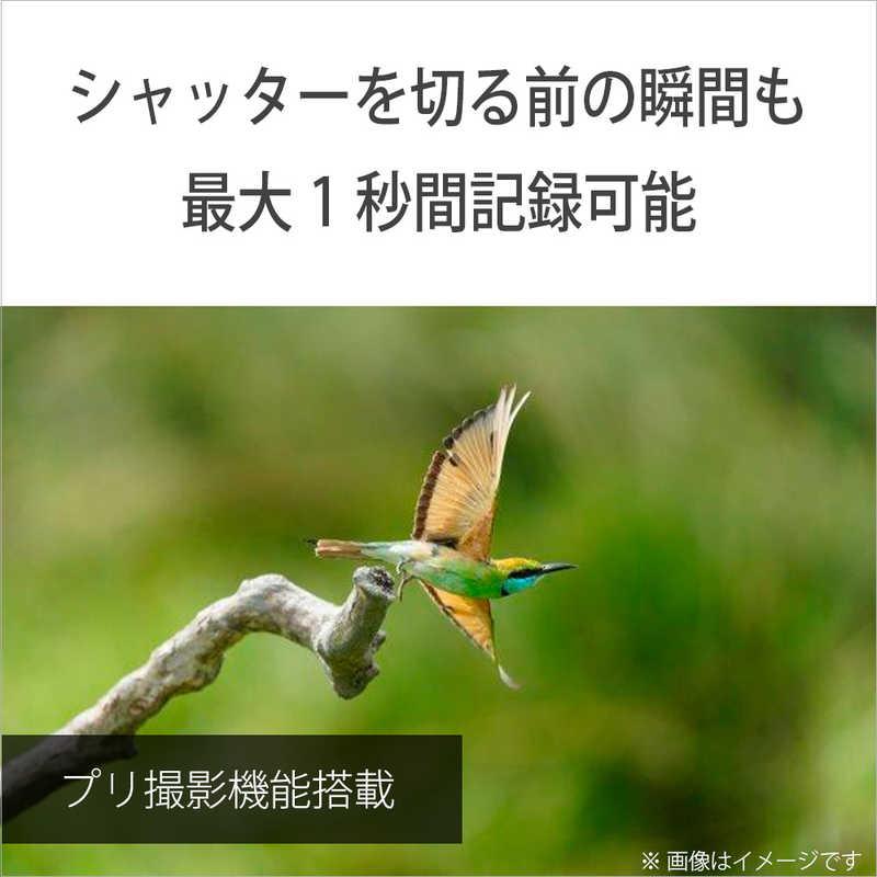 ソニー　SONY　α7 V ミラーレス一眼カメラ ズームレンズキット ［ズームレンズ］　ILCE-7M5M_11
