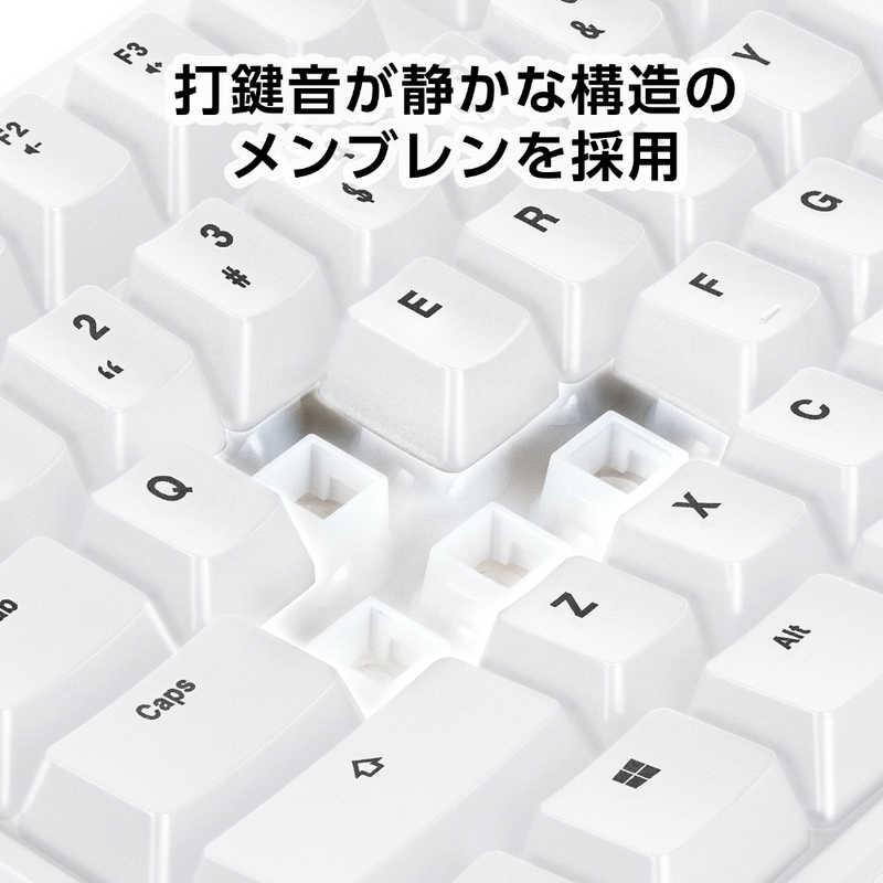 センチュリー メンブレンゲーミングキーボードTKL ホワイト RACEN