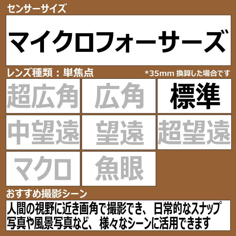 Panasonic（パナソニック） カメラレンズ ［マイクロフォーサーズ /単