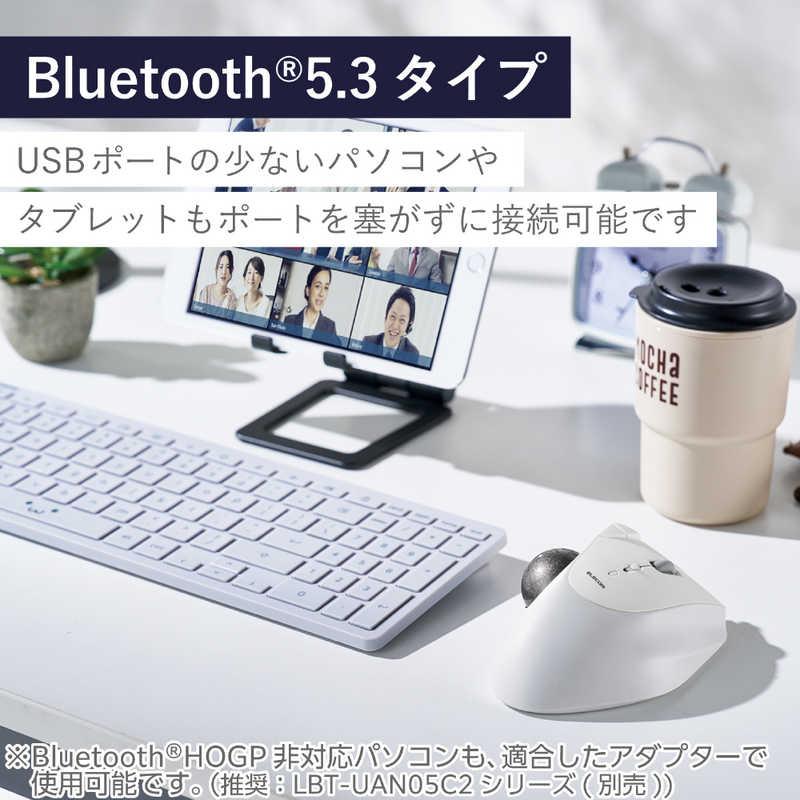 ELECOM IST PRO トラックボールマウス（人工ルビーセット） ELECOM（エレコム） マウス トラックボール IST 人工ルビーモデル [IR