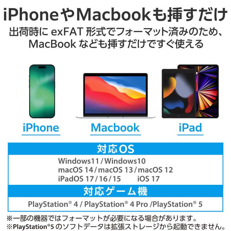 エレコム　ELECOM　SSD 外付け 1TB USB3.2(Gen2) 読込最大500MB/秒 USBメモリ型 ポータブルSSD 回転式 高速 USB Type C/ USB-A シルバー　ESD-EPA1000GSVの画像
